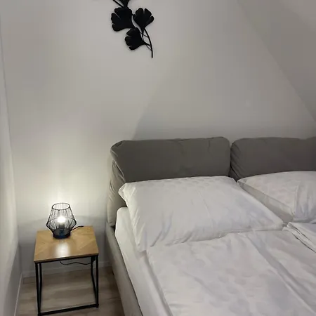 Apartment Apartmanovy Dum Jansky Sen