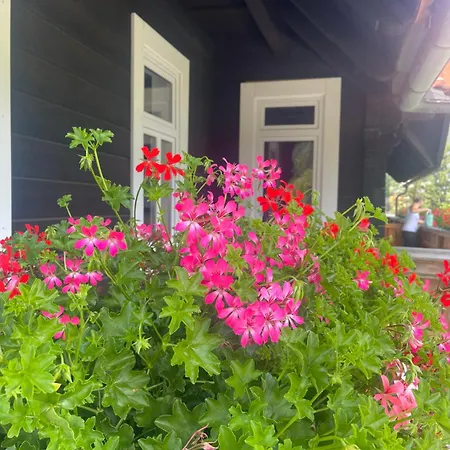 Apartment Apartmanovy Dum Jansky Sen Janske Lazne