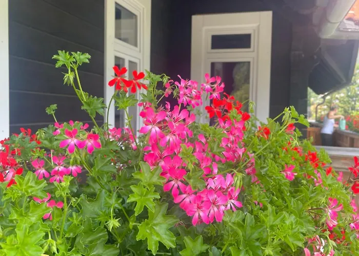 Appartamento Apartmánový Dům Jánský Sen Janské Lázně